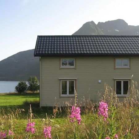 Charming House By The Sea, Lofoten! Laupstad ภายนอก รูปภาพ