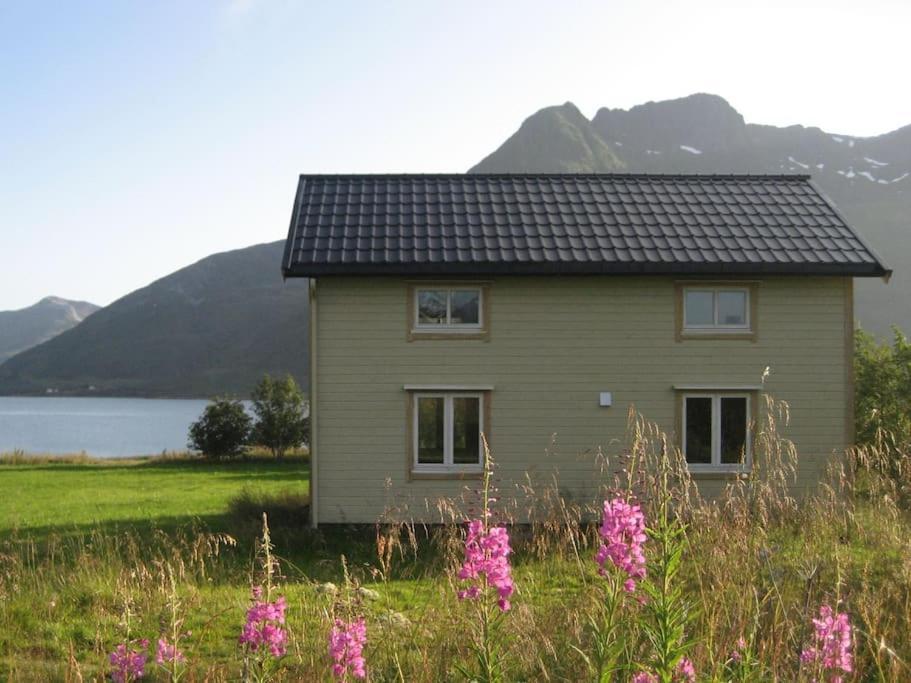 Charming House By The Sea, Lofoten! Laupstad ภายนอก รูปภาพ