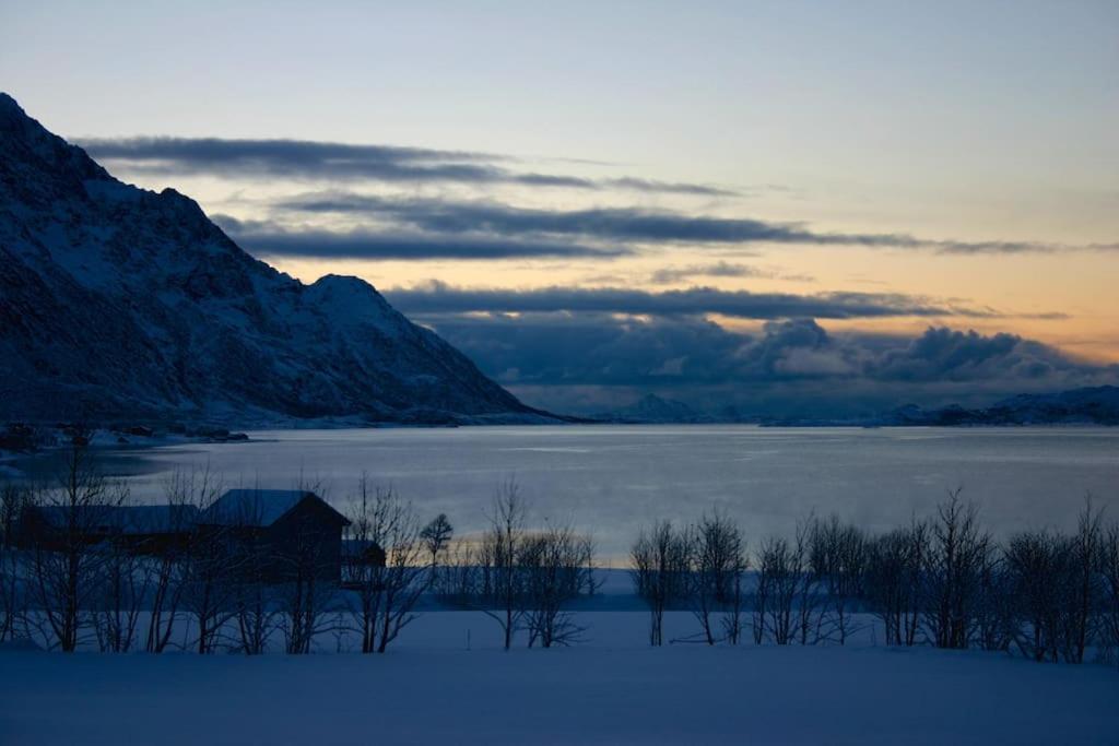 Charming House By The Sea, Lofoten! Laupstad ภายนอก รูปภาพ