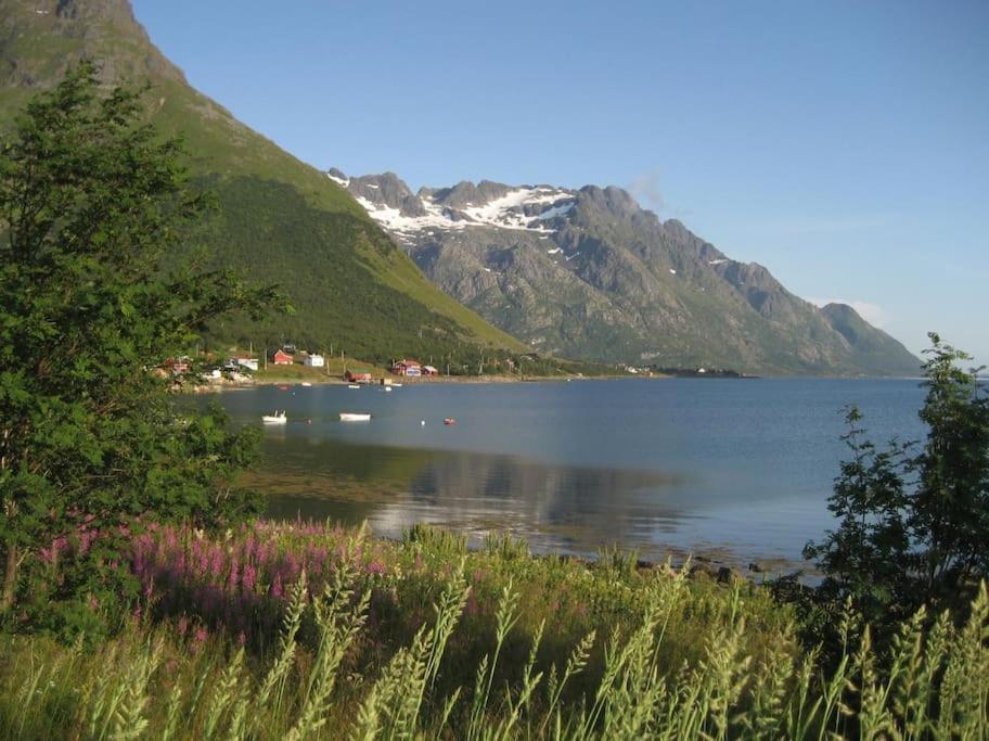 Charming House By The Sea, Lofoten! Laupstad ภายนอก รูปภาพ