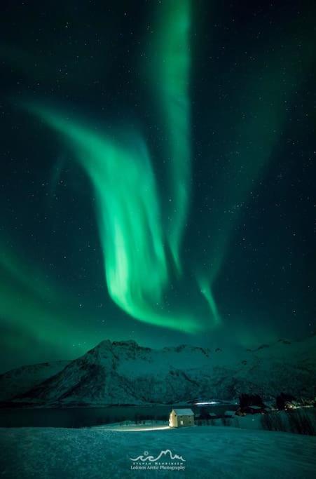 Charming House By The Sea, Lofoten! Laupstad ภายนอก รูปภาพ